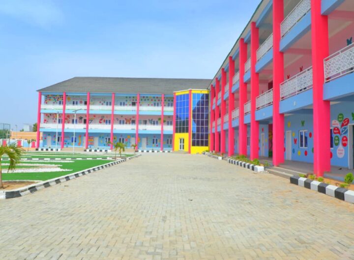 Zulum delivers education projects