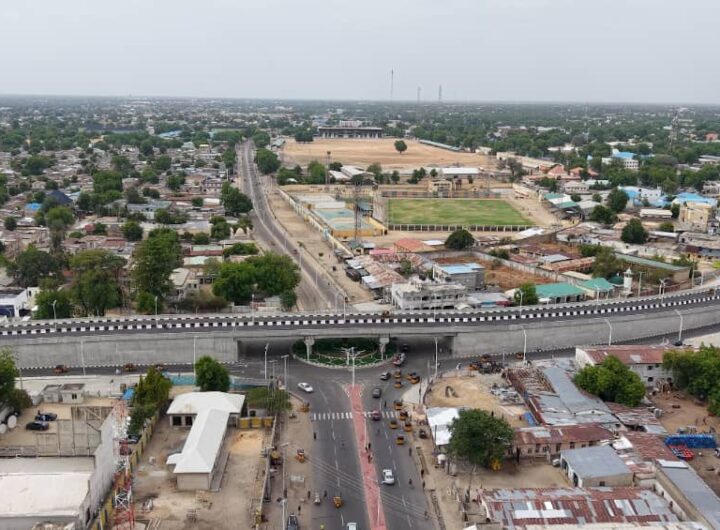 Zulum executes road projects in Borno
