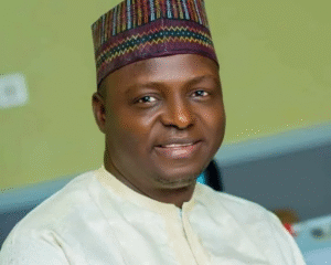 APC National Chairman Professor Nentawe Yilwatda