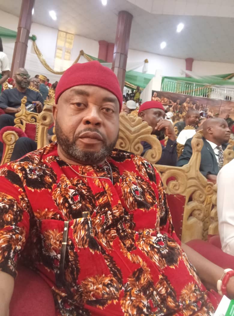 Amb Tim Ihemadu 1