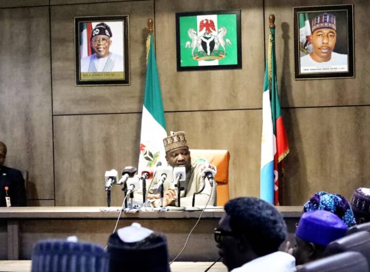 Borno Deputies Governor Kadafur