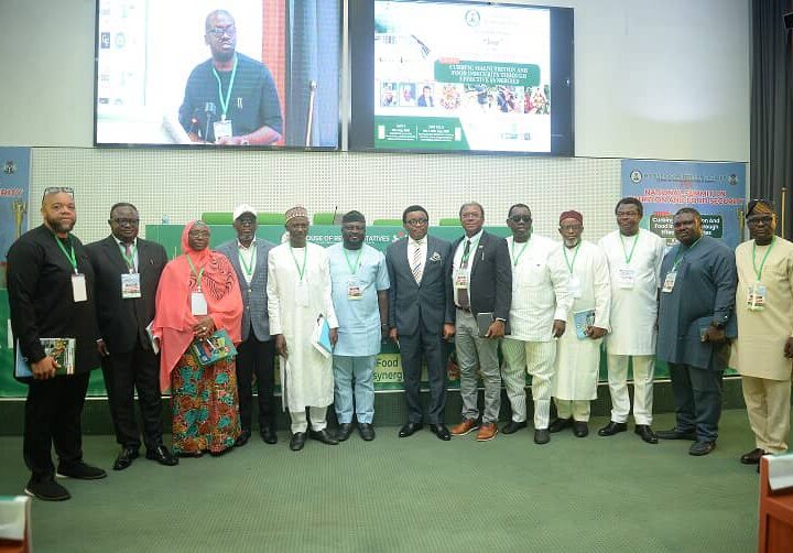 Curbing insecurity critical to increasing food production, combating hunger – Hon. Okafor