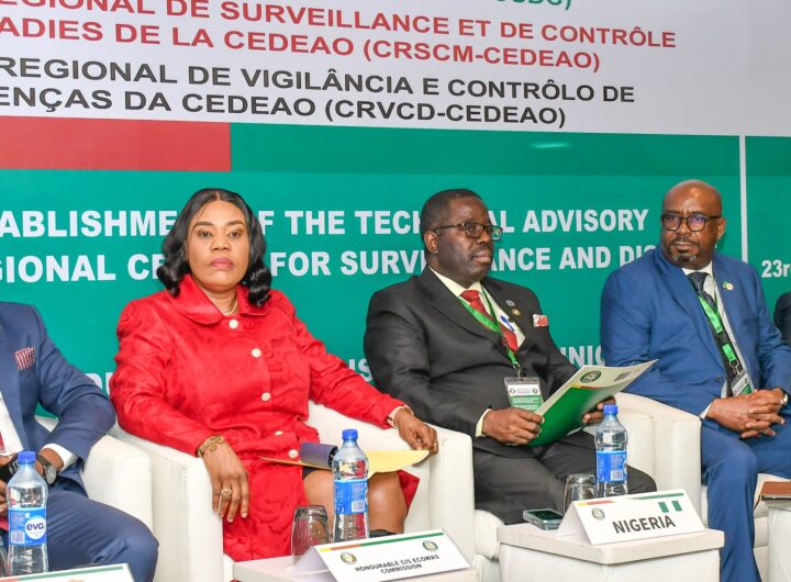 Dignitaries at the opening of the follow up workshop