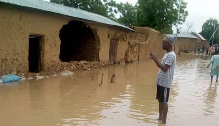 Flood destroys houses in Gombe