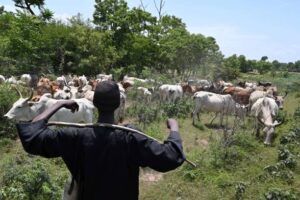 Fulani Herdsmen