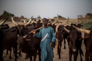 Fulani Herdsmen