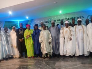 House of reps. constitutional review in Maiduguri
