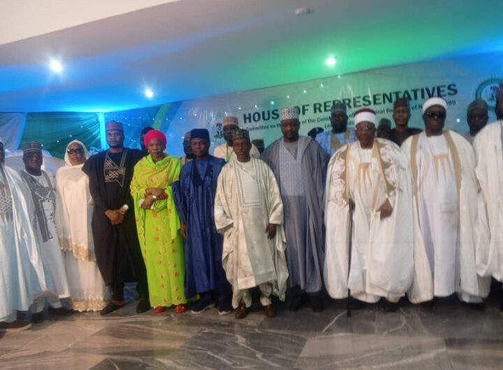 House of reps. constitutional review in Maiduguri