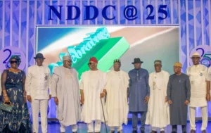 Tinubu orders NDDC to complete abandoned projects in Niger Delta