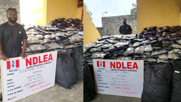 NDLEA nabs drug kingpin ‘Warri kinsman’ over drug shipment