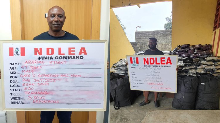 NDLEA intercepts Saudi, UK-bound cocaine in lipsticks, property title documents