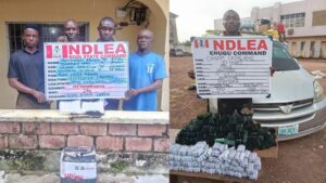 NDLEA drugs