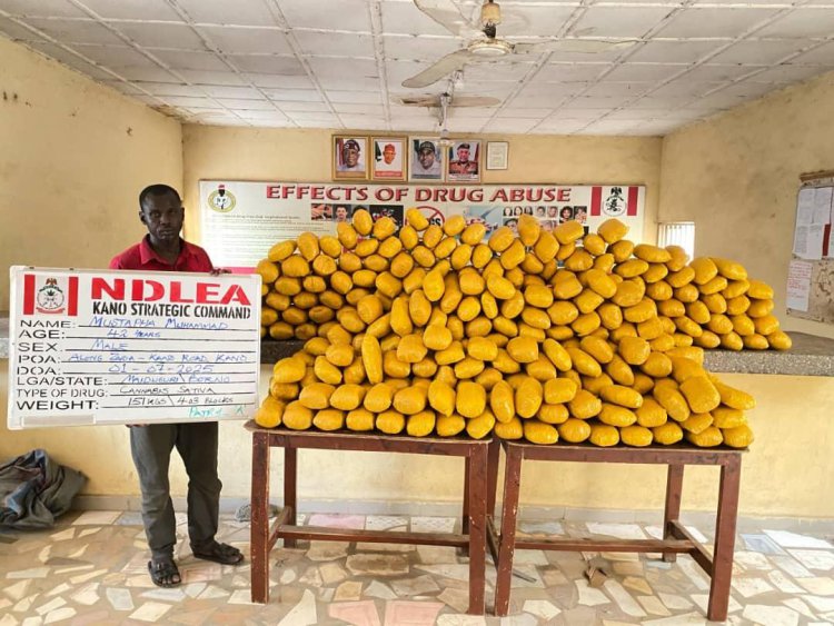 NDLEA arrests couple, 2 daughters for running drug ring; recovers $17.7m travelers cheques in kids' books 3 NDLEA nabs drug suspect 1