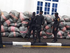Navy hands over 1,575 kg of cannabis sativa to NDLEA