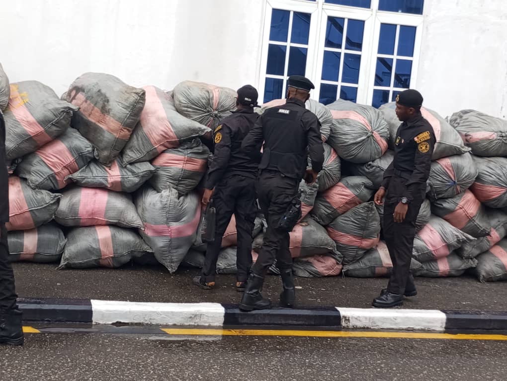 Navy hands over 1,575 kg of cannabis sativa to NDLEA