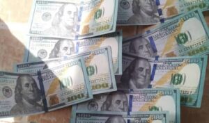 Police intercept fake dollar in Gombe