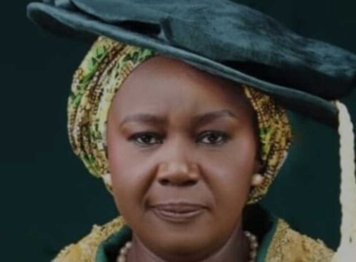 UNIABUJA VC Professor Patricia Lar