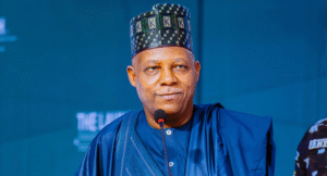 VP Kashim Shettima