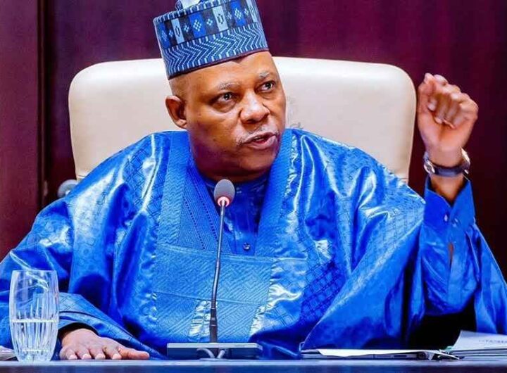 VP Kashim Shettima