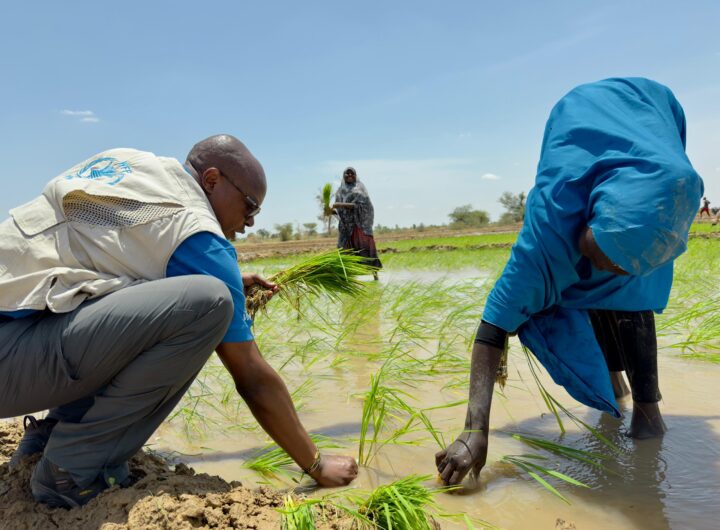 Germany renews commitment to Northeast Nigeria recovery with second phase of UNICEF-WFP resilience programme