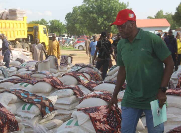 Borno State Governor Babagana Zulum