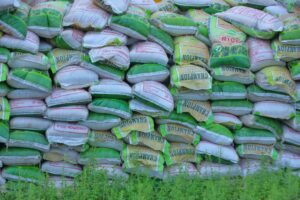 Zulum resettles IDPs