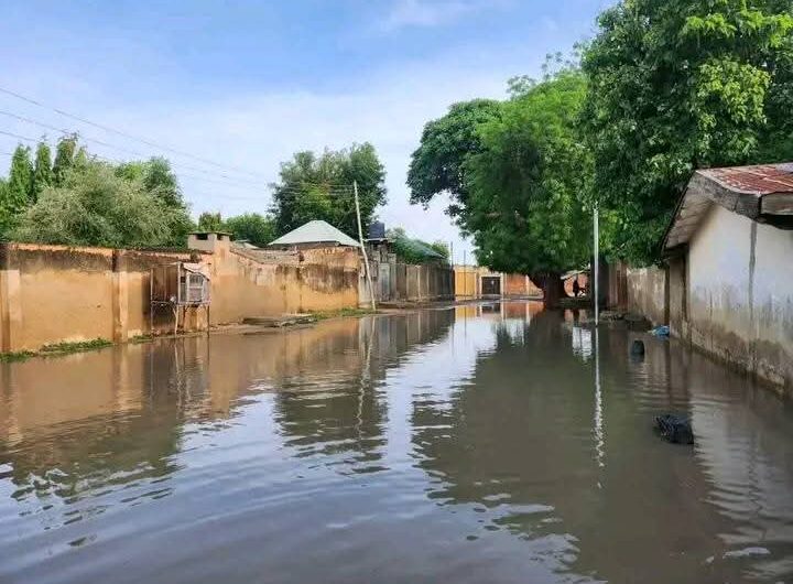 Flood hits Maiduguri city in Borno State