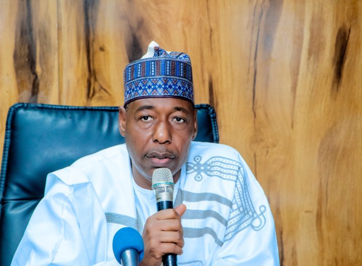 Borno Governor Babagana Zulum