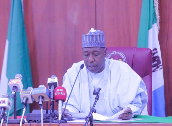 Borno State Governor, Babagana Zulum