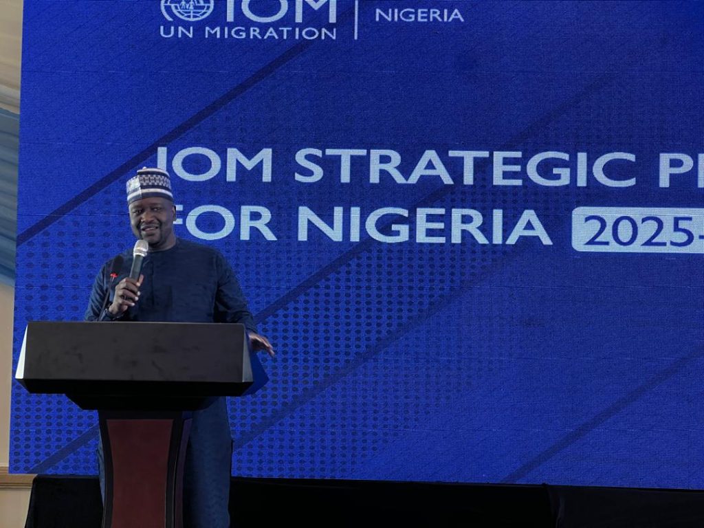Borno unveils IOM partnership plan to empower migrants
