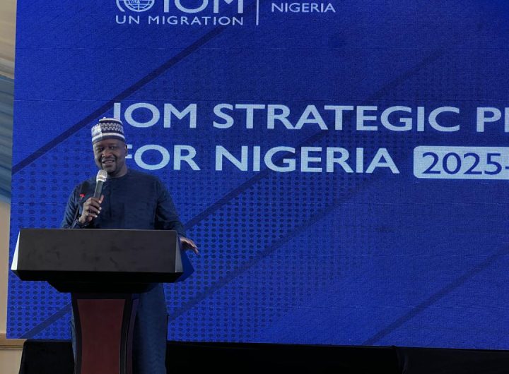 Borno unveils IOM partnership plan to empower migrants