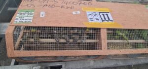 Customs foils illegal export of over 1,600 birds at Lagos airport