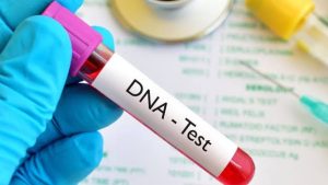 DNA Test results