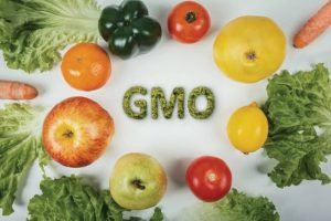 FG defends GMOs, assures Nigerians of safety, food security boost