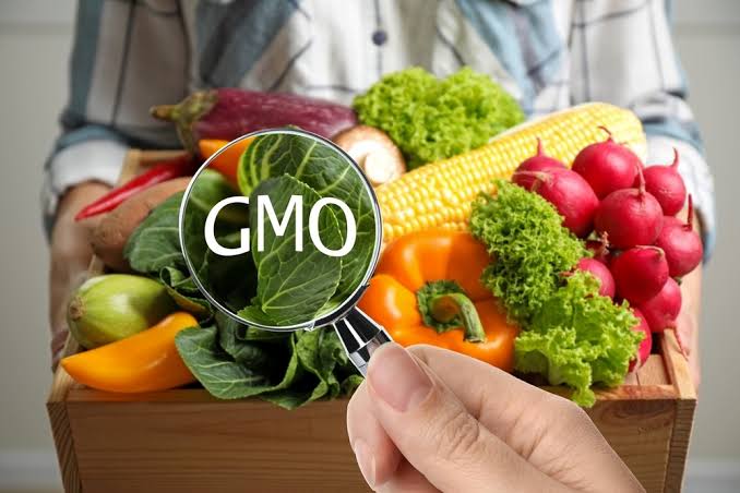 FG defends GMOs, assures Nigerians of safety, food security boost
