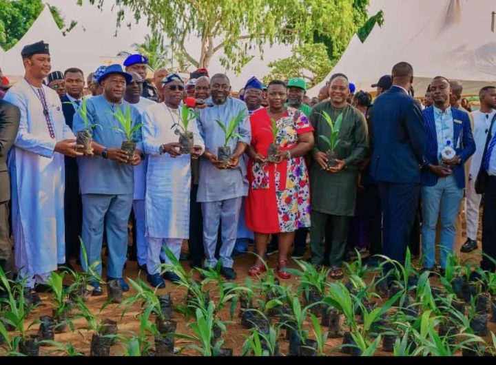 Gov Alia and other personalities during the launching of the Governor Alia palm tree project