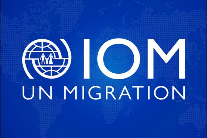 International Migration Organization IOM