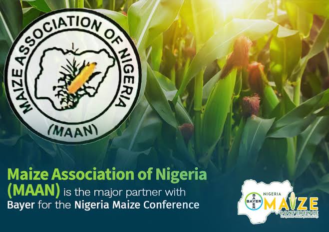 Maize farmers team up with EFCC, DSS to recover anchor borrowers loans