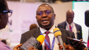 Minister of power, Adebayo Adelabu