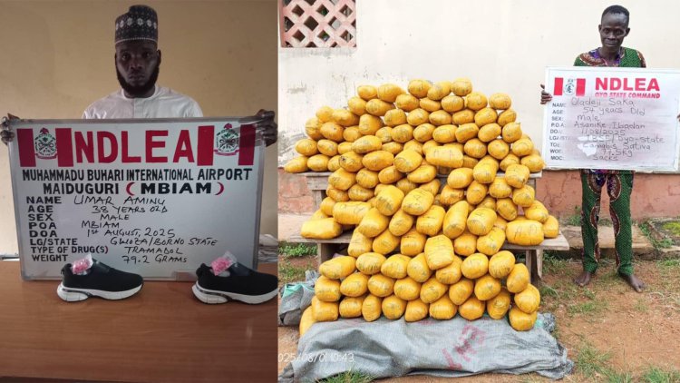 NDLEA arrests dispatch riders distributing illicit drugs in Abuja; recovers opioids in footwears at Maiduguri airport 2 NDLEA 2
