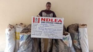 NDLEA