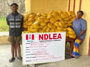 NDLEA 5