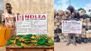 Drug suspects arrested by NDLEA operatives