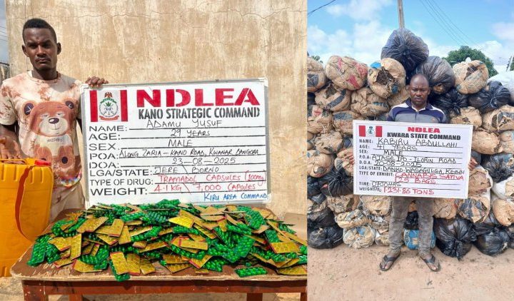 Drug suspects arrested by NDLEA operatives