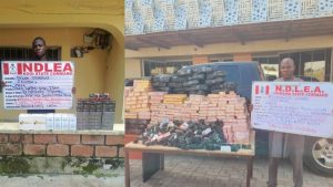 Drug suspects arrested by NDLEA operatives