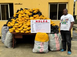 A drug suspect arrested by NDLEA operatives