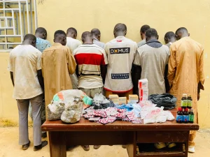 NDLEA arrests drug suspects