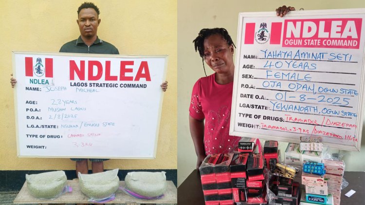 NDLEA arrests drug suspect