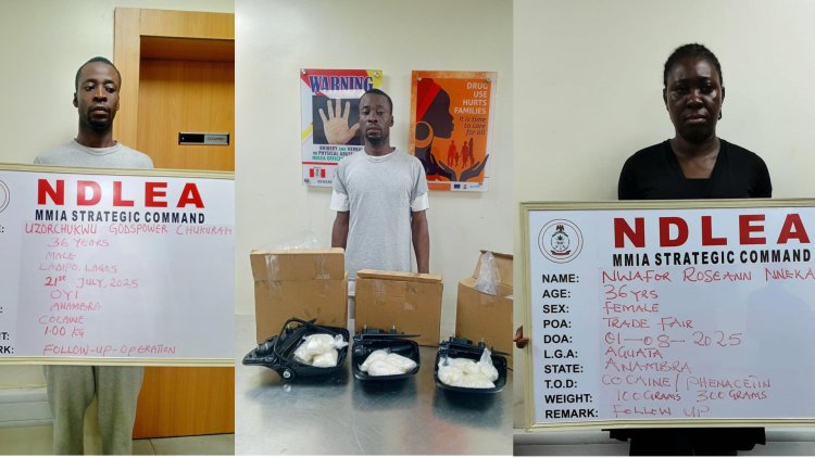 NDLEA arrests drug suspect