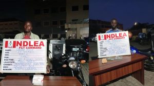 Drug suspects arrested by NDLEA operatives